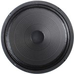 PM10S, 10" Guitar Speaker 8 Ohm 30 Watts