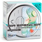 Ароматизатор на панель приборов меловой (сквош) Air Spencer EIKOSHA