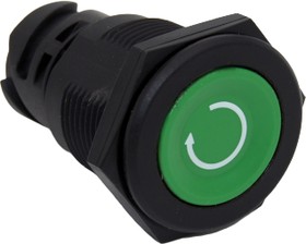 TS-211-GN31, Pushbutton Switches