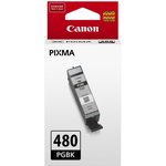 Картридж струйный Canon PGI-480 PGBK 2077C001 черный (11.2мл) для Canon Pixma TS6140/TS8140TS/ TS9140/TR7540/TR8540