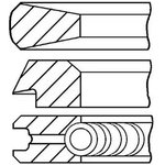 08-428800-00, Кольца dm.117.00 STD [3.0-2.5-4.0 ] 1 ПОР.