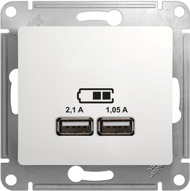 Фото 1/9 Розетка USB 2-м СП Glossa тип A+A 5В/2.1А 2х5В/1.05А механизм бел. SE GSL000133