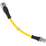 DEE2R-81D, Sensor Cables / Actuator Cables Cordset: Double Ended M12 ...