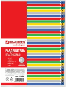 Пластиковый разделитель А4+, 31 лист, цифровой 1-31, оглавление, цветной, 225624