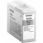 Epson C13T850900, Картридж