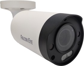 Камера видеонаблюдения IP Falcon Eye FE-IPC-BV2-50pa