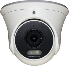 Камера видеонаблюдения IP Falcon Eye FE-IPC-D2-30p