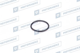 HR0424B, Кольцо рулевой рейки