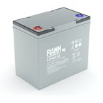 FIAMM Аккумуляторная батарея 12 В 55 Ач - 12FGL55