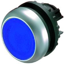 Фото 1/3 Кнопка синяя с подсветкой Titan M22-DL-B, IP67