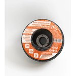 Круг лепестковый торцевой КЛТ1 Мастер 125х22 мм P60 10 шт 51212506