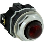 APD1QH2DNUR, Industrial Panel Mount Indicators / Switch Indicators 30mm Pilot ...