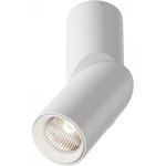 Maytoni Потолочный светильник Dafne 4000K 1x10Вт 38° Белый C027CL-L10W4K