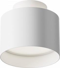 Maytoni Потолочный светильник Planet 4000K 1x12Вт 120° Белый C009CW-L12W4K