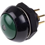 LP9-11231G25, Illuminated Push Button Switch, Momentary, Panel Mount, SPDT ...