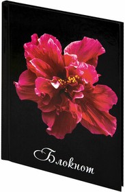Фото 1/6 Блокнот МАЛЫЙ ФОРМАТ 110х147 мм А6, 80 л., твердый переплет, ламинированная обложка, клетка, STAFF, "Красный цветок на черном", 127212