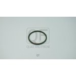 Кольцо уплотнительное патрубка интеркуллера QUATTRO FRENI QF54A00059