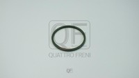 Кольцо уплотнительное патрубка интеркуллера QUATTRO FRENI QF54A00059
