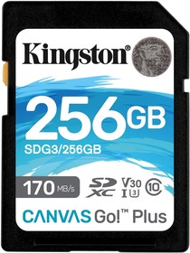 Фото 1/10 Карта памяти Kingston Canvas Go! Plus SDXC 256GB (SDG3/256GB)