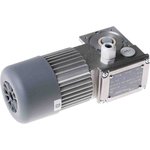 MC 244PT 80 B5, Reversible Induction Geared AC Geared Motor, 49 W, 3 Phase ...