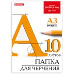 Папка для черчения БОЛЬШАЯ А3, 297х420 мм, 10 л., 200 г/м2, без рамки ...