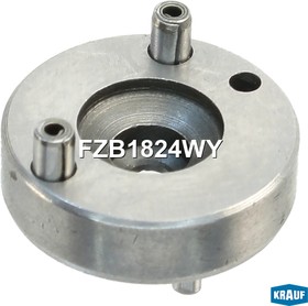 Фото 1/4 FZB1824WY, Шайба форсунки