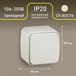 3-103-02 Intro Переключатель, 10А-250В, IP20, ОУ, Polo, сл.кость