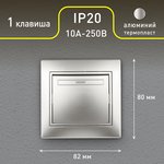 Выключатель Intro Plano 1-101-03 одноклавишный, 10А-250В, IP20, СУ, алюминий