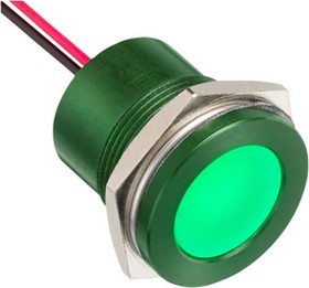 Q22F5AGXXSG12AE, LED Indicator, Rear Epoxy Wire, Fixed, Green, AC / DC, 12V