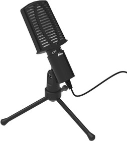 Фото 1/3 15120025, Микрофон RITMIX RDM-125 Black, конденсаторный, всенапр, настольный