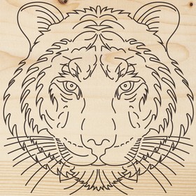 Фото 1/4 12-0903, Доска для выжигания «Тигр», 150х150мм, 1 шт., пакет