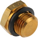 0220 13 00, G 1/4 Brass Blanking Plug