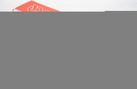 Фото 1/2 Амортизатор передний газовый RONA для а/м MERCEDES ML (W164) (05-11), 321270