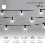 331-345, Набор ЕВРО Belt-Light 2 жилы, 100м, шаг 40см, 225 LED ламп ...