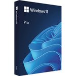 Операционная система Microsoft Windows 11 Pro, 64 bit, Eng Intl, USB, BOX [hav-00163]