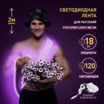 Светодиодная лента для растений ЭРА FITO-Strip Light-RB-2m красно-синего ...