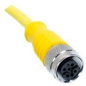 C5C03M001, Specialized Cables 5 Position Straight Female to wire leads - Yellow - 1 Meter
