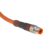 RSMV 3-06/2 M, Sensor Cables / Actuator Cables