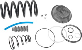 100-3519109, Ремкомплект ЗИЛ,МАЗ энергоаккумулятора РААЗ с пружиной