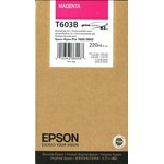 Epson C13T603B00, Картридж