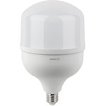 Лампа светодиодная LED HW T 50Вт (замена 500Вт) матовая 6500К холод. бел ...