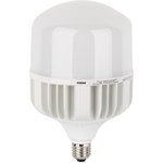 Лампа светодиодная высокомощная LED HW 65Вт T матовая 6500К холод. бел ...
