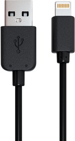 Фото 1/10 Кабель USB 2.0 - Lightning, 1 м, RED LINE, для подключения IPhone (IPad), черный, УТ000008646