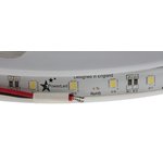 F10-C5050-24-60-IP65, 24V White LED Strip Light, 6000K Colour Temp, 5m Length