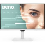 BenQ GW3290QT, Мониторы