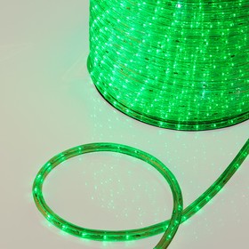 Фото 1/8 121-124, Дюралайт LED, постоянное свечение (2W) - зеленый, 36 LED/м, бухта 100м,