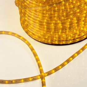 Фото 1/2 121-251, Дюралайт LED, эффект мерцания (2W) - желтый, 36 LED/м, бухта 100м (за 1 м)
