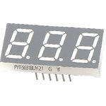 FYT-5631BUR-11, Индикатор