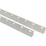 Держатель пластронов FORT высотой 1000 (уп.2шт) PROxima EKF FDP10