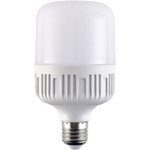 Светодиодная лампа RSV-HP-50W-6500K-E27 100312